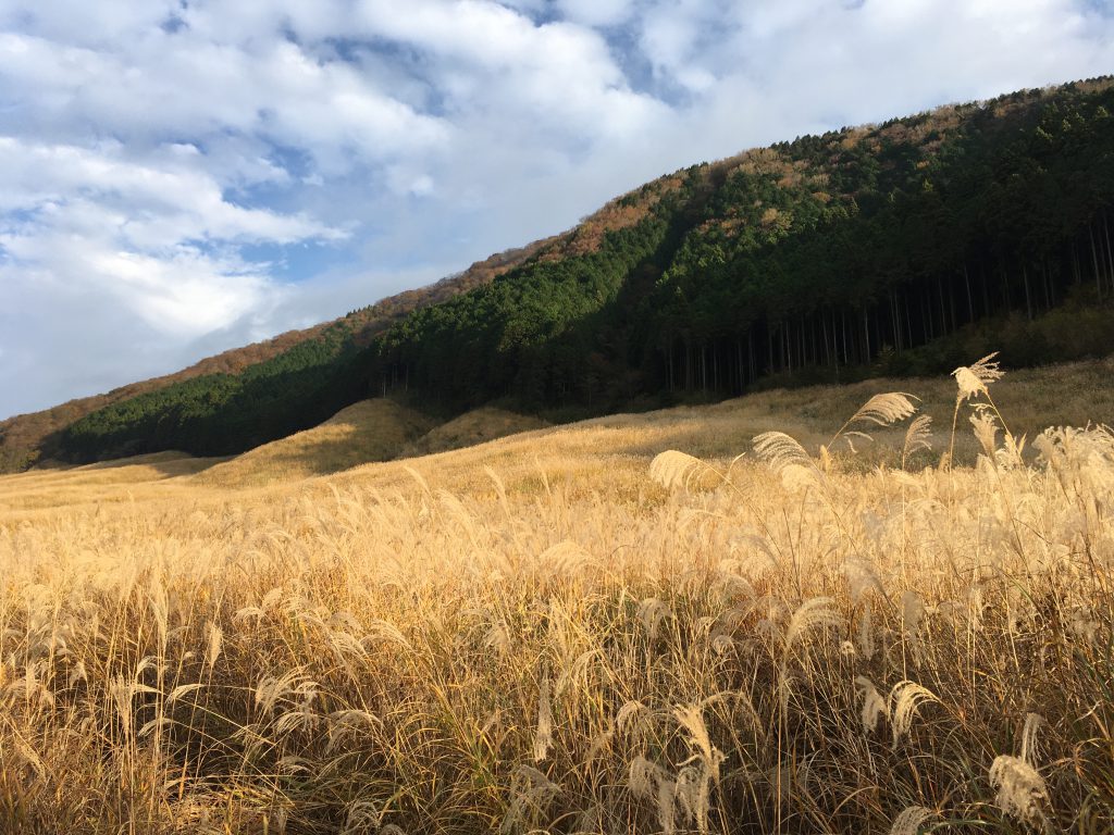 観光地としての箱根開発はいつ頃から？