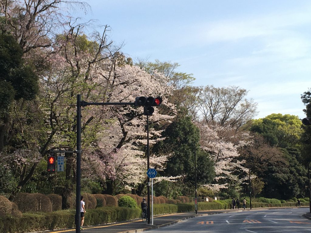 ４月からの新年度に学ぶことを決めました。