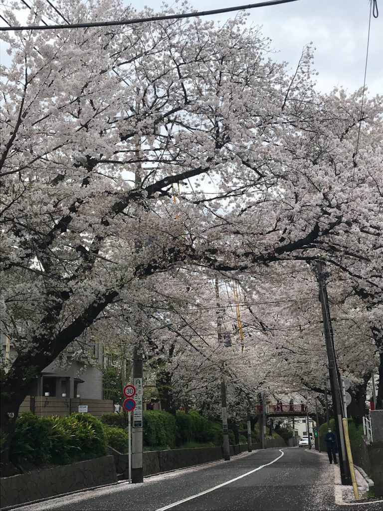 応援している人の嬉し涙は本当に嬉しいです。